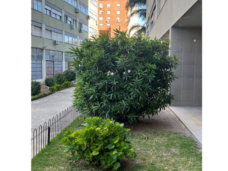 Apartamento en Montevideo: Edificio 19 de Abril